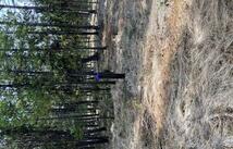 178 Idaho Hill Road, Marion