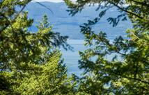 345 Chief Cliff Trail, Bigfork