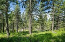 345 Chief Cliff Trail, Bigfork