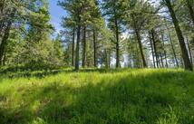 345 Chief Cliff Trail, Bigfork