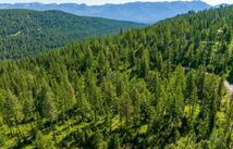 139 Timberjack Trail, Bigfork