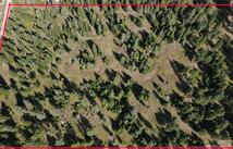 1019 Larch Ridge Trail, Columbia Falls