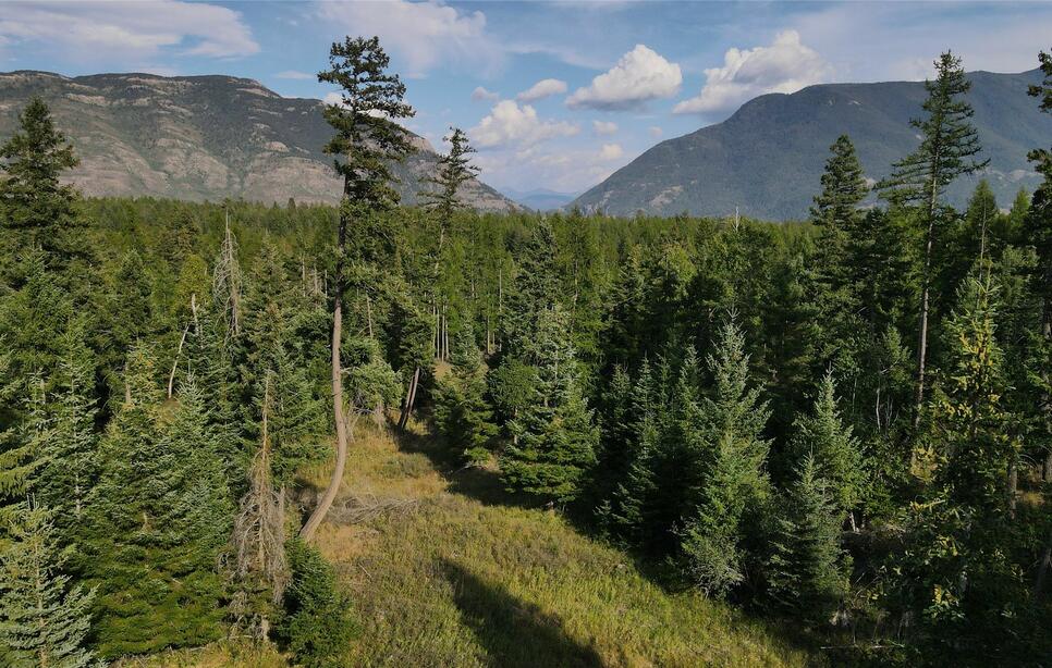 1019 Larch Ridge Trail, Columbia Falls
