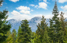 30612 Three Turtle Crossing, Bigfork