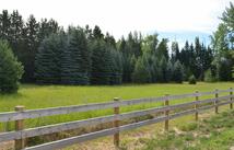 73 Sweet Lane, Kalispell