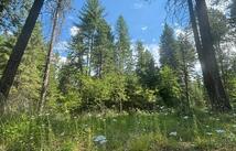 2297 Houston Point Drive, Whitefish