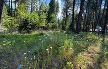 2297 Houston Point Drive, Whitefish