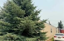 58 Cottonwood Drive, Kalispell