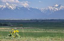44281 Turnquist Road, Ronan