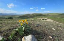44281 Turnquist Road, Ronan