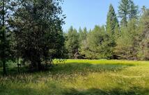 950 Lodgepole Drive, Marion