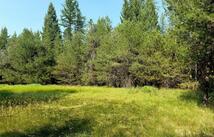 950 Lodgepole Drive, Marion