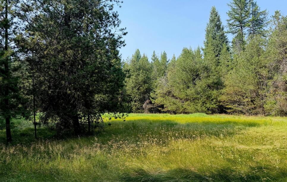 950 Lodgepole Drive, Marion