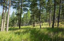 1243 Kienas Road, Kalispell