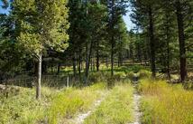 1243 Kienas Road, Kalispell