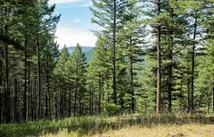 1243 Kienas Road, Kalispell