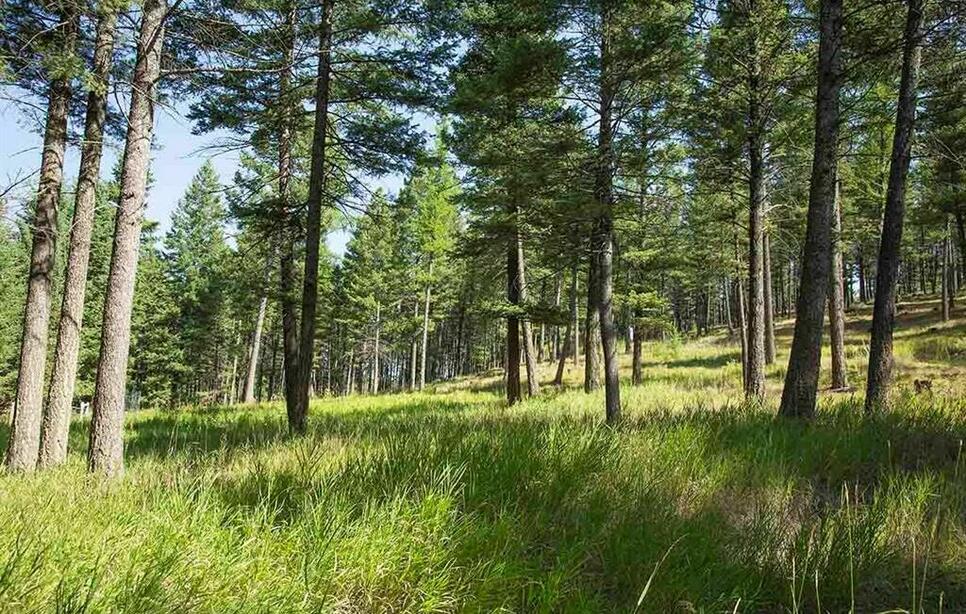 1243 Kienas Road, Kalispell