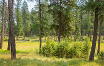 415 Bowdish Road, Kalispell