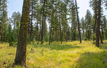 415 Bowdish Road, Kalispell