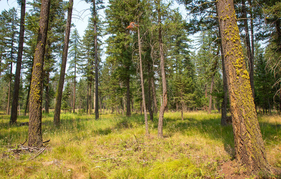 415 Bowdish Road, Kalispell