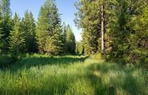 E Half Lot 2a Haywire Gulch, Kalispell
