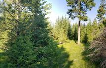 E Half Lot 2a Haywire Gulch, Kalispell