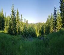 E Half Lot 2a Haywire Gulch