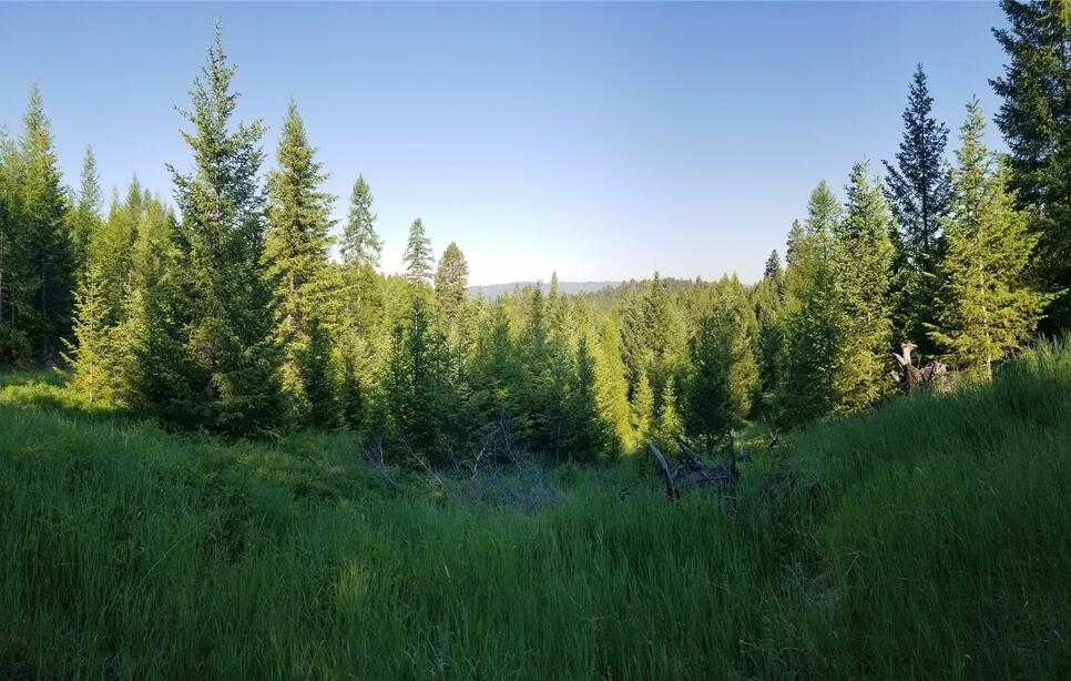 E Half Lot 2a Haywire Gulch, Kalispell