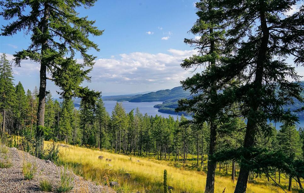 69 Eagle Creek Trail, Whitefish