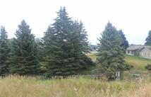 167 Westland Drive, Kalispell