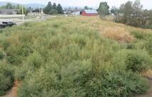 167 Westland Drive, Kalispell