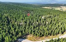 Lot 2 Forest Ridge Road, Fortine