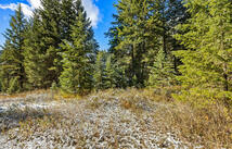 1426 Bierney Creek Road, Lakeside