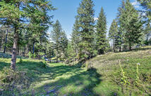 Nhn Black Lake Road, Rexford
