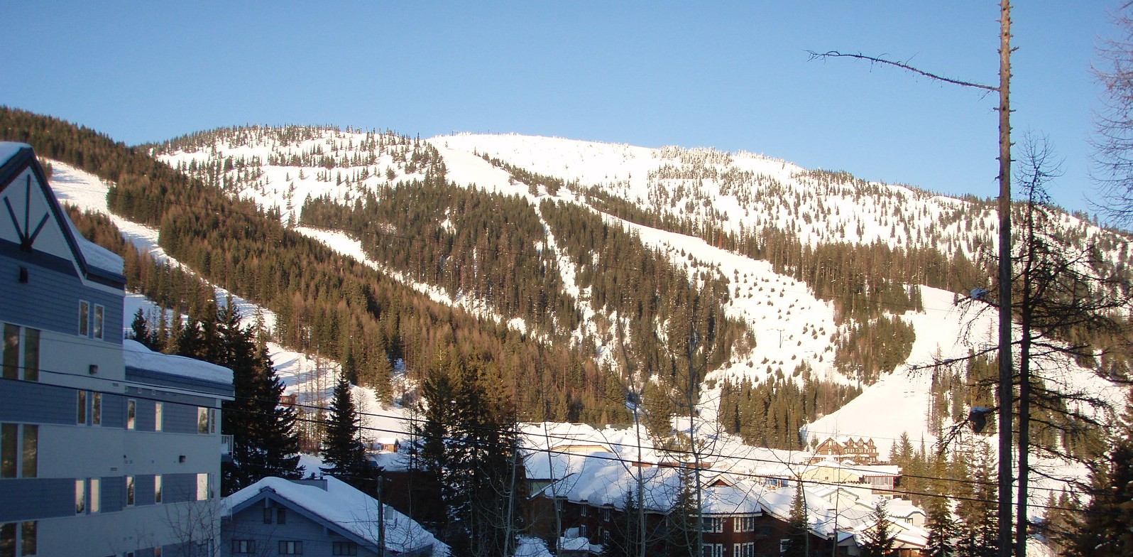 Whitefish Montana homes for sale