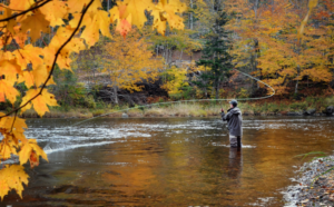 top spots to fly fish in montana