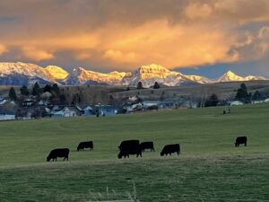 Top things to so in the fall season in Montana